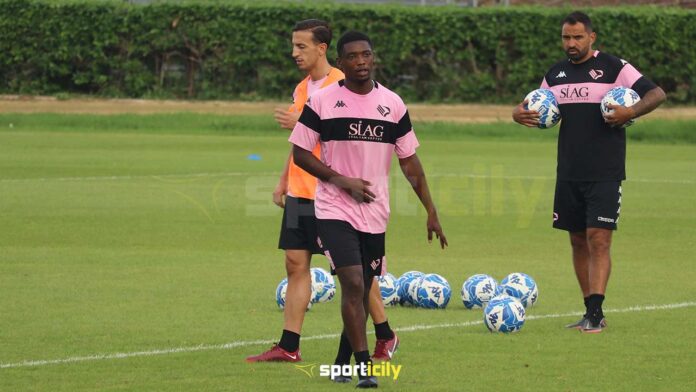 palermo pisa formazioni broh