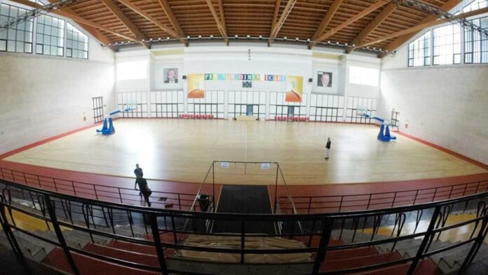 green basket palamangano