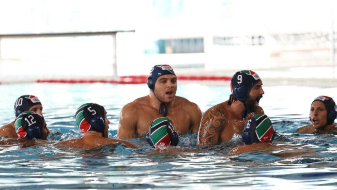 telimar euro cup