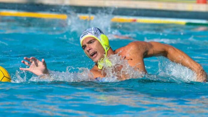 vidovic ortigia telimar