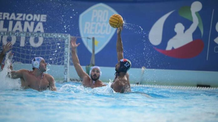 telimar vs recco