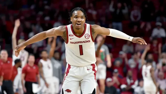 JD Notae trapani shark