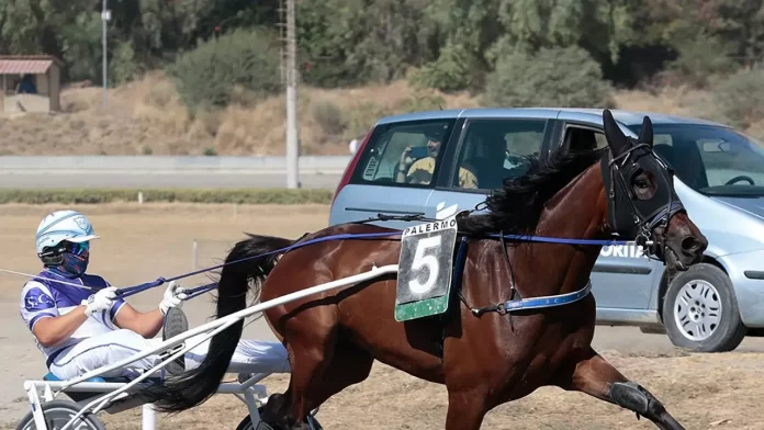 ippodromo favorita cintura