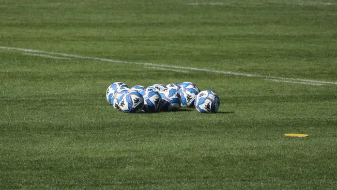 tabellone playoff risultati oggi Serie B calendario 2024-25 diritti tv