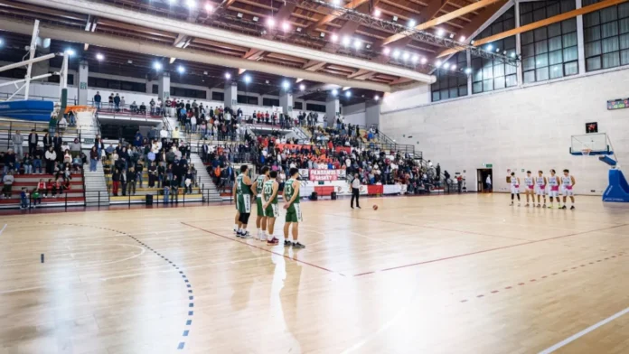 Panormus Green basket