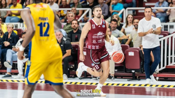 john petrucelli trapani shark