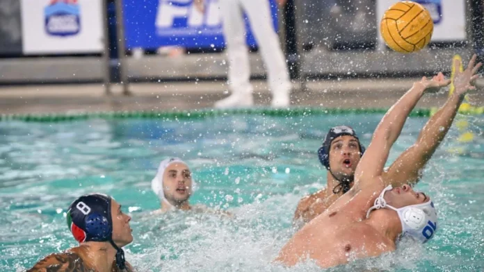 nuoto catania telimar