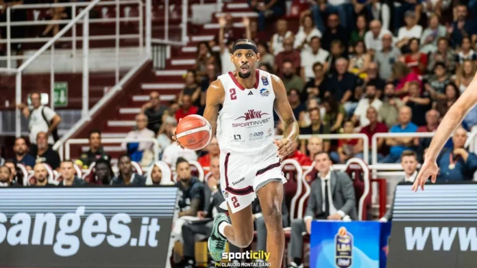 Trapani shark treviso