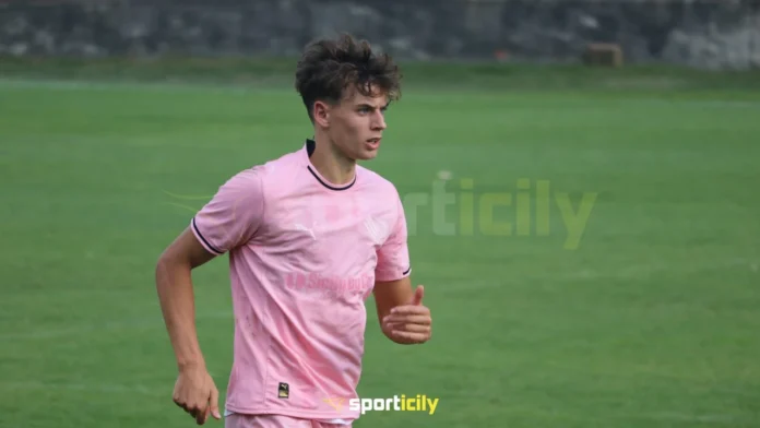 vasic udinese palermo