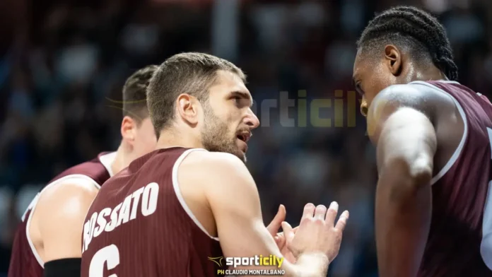 trapani shark treviso