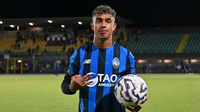 dominic vavassori